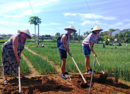 Hoi An Farming, Market & Cooking Experience