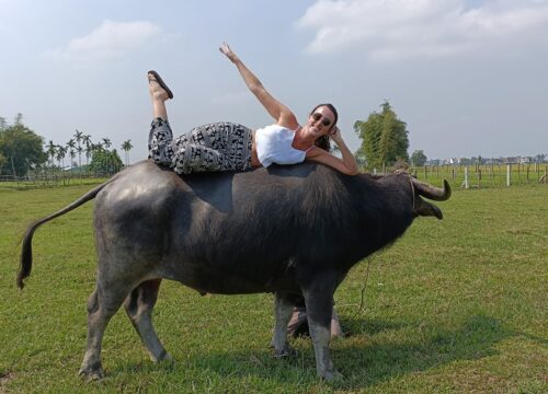 Buffalo Riding Adventure and Basket Boat Tour Hoi An