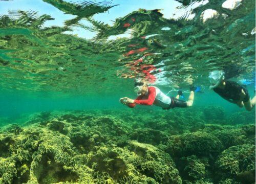 Things to Do in Phu Quoc: Your Ultimate Island Adventure Guide
