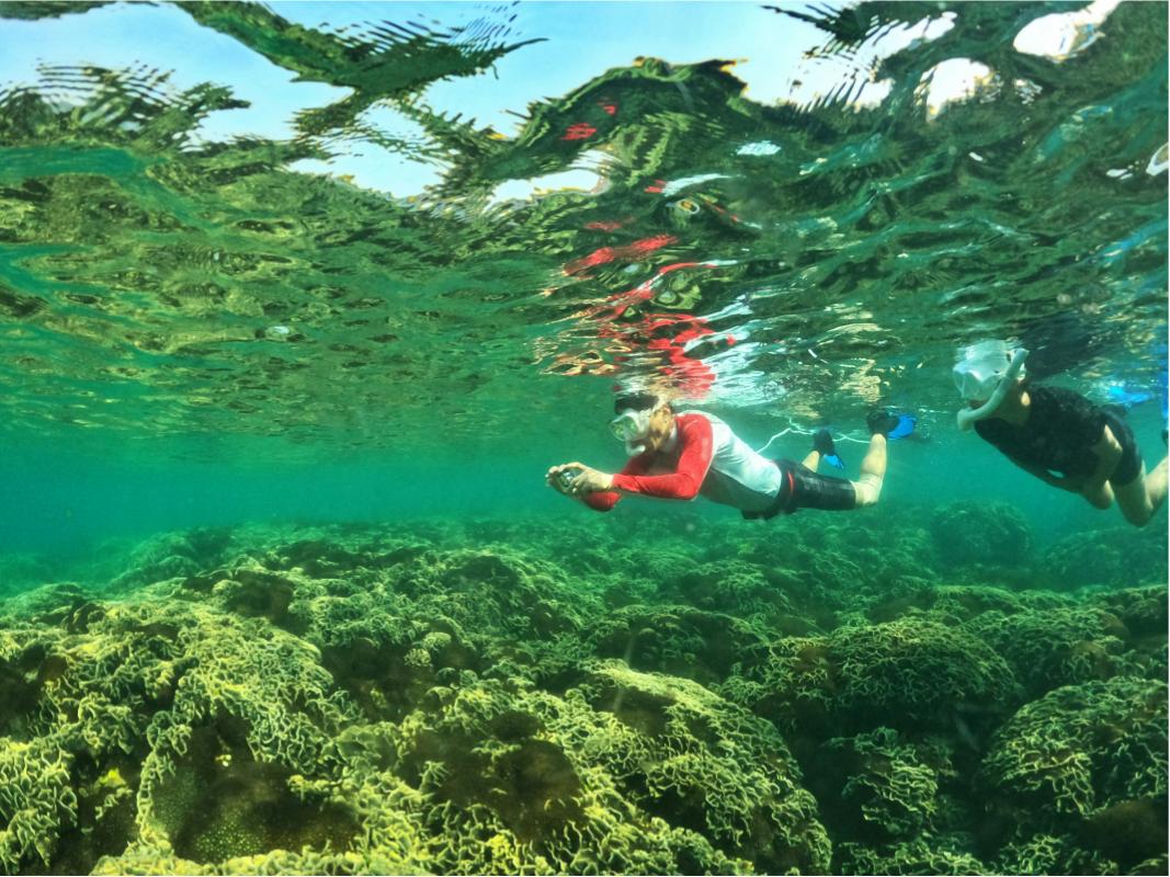 Visitors enjoying the best attractions and activities in Phu Quoc